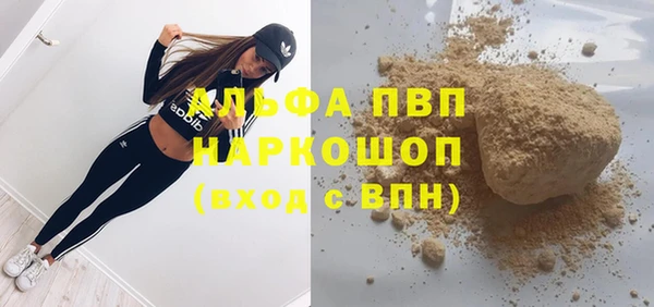 сатива Куйбышев