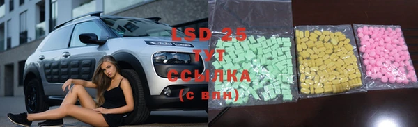 сатива Куйбышев