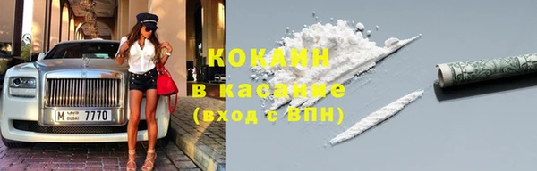 прущие грибы Кукмор