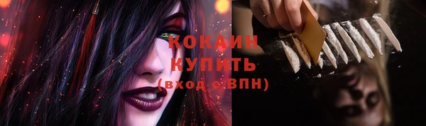 прущие грибы Кукмор