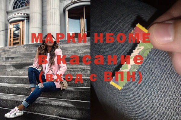 прущие грибы Кукмор
