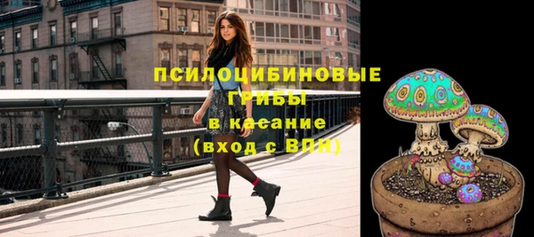 сатива Куйбышев