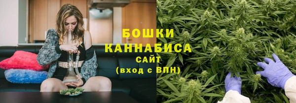 прущие грибы Кукмор