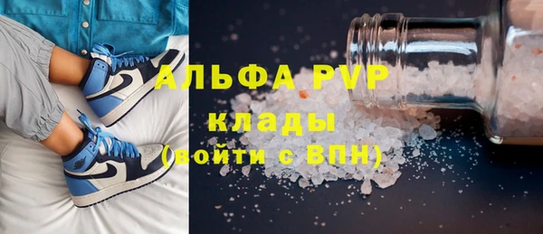 сатива Куйбышев