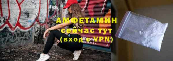 сатива Куйбышев