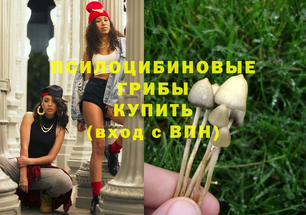 прущие грибы Кукмор