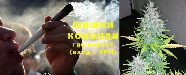 сатива Куйбышев