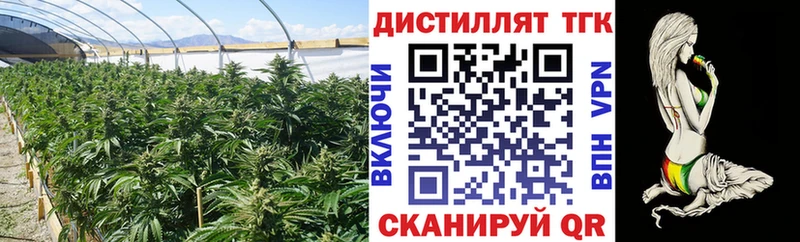 Дистиллят ТГК вейп  Нефтекумск 