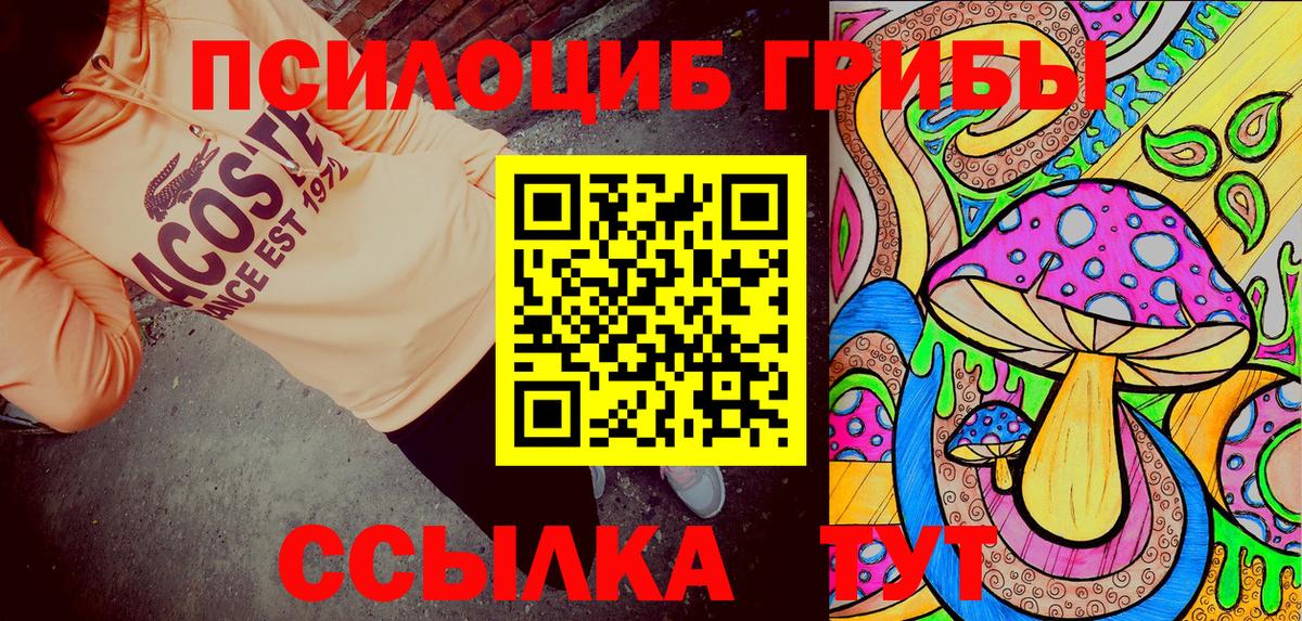Псилоцибиновые грибы Psilocybe Нефтекумск